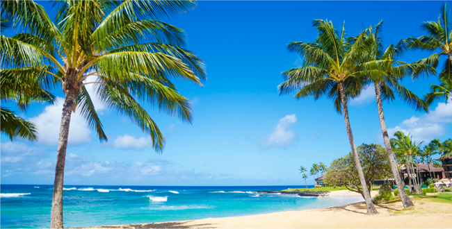 ハワイアンテイストのリゾート空間