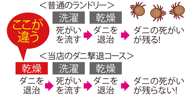 布団洗いに大人気のダニ除去